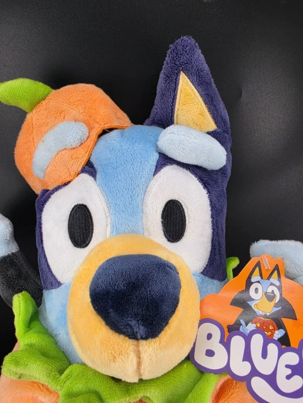 Bluey Halloween Plush Pumpkin Costume 12